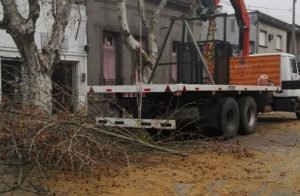 tareas de poda - las piedras