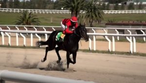 Carrera Las Piedras 14-9