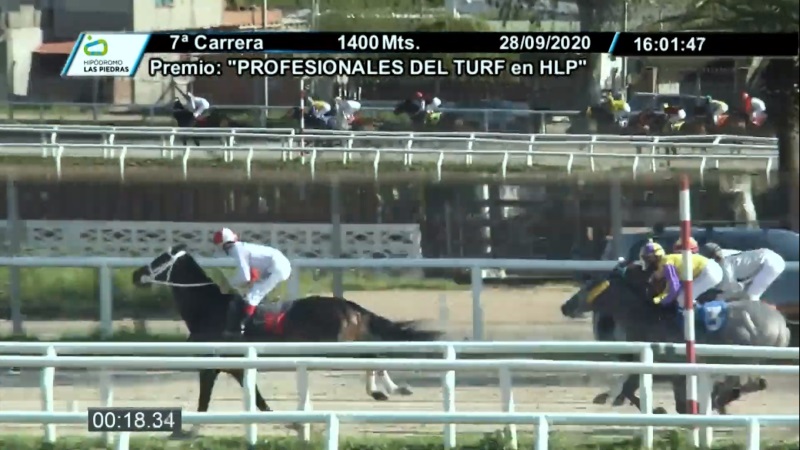 Premio Profesionales del Turf en HLP - Las Piedras