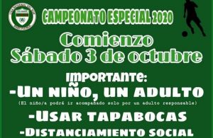 Liga Regional del Sur - Baby Futbol - 2020