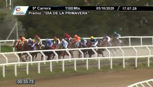 Preferencia Dia de la Primavera - Las Piedras