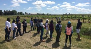 Fin de Semana del Enoturismo 2020