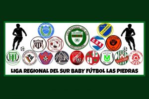 escudos liga regional del sur baby futbol