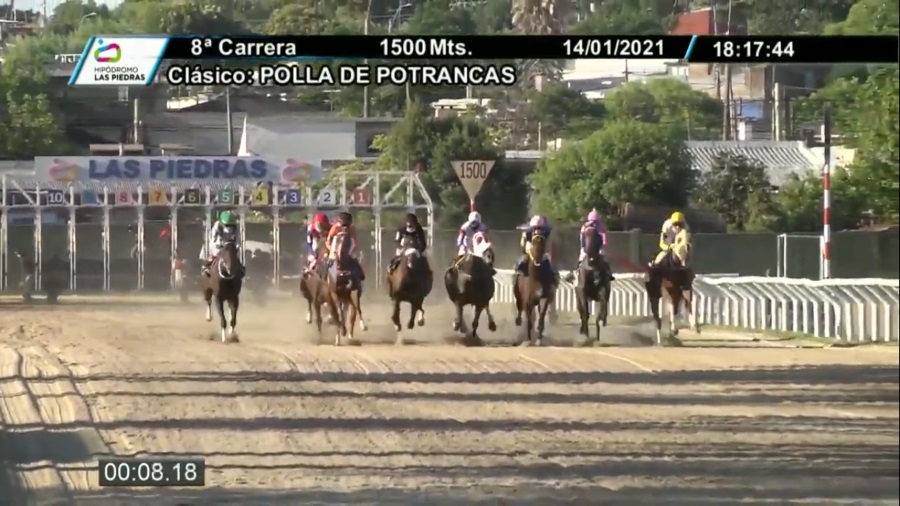 clasico polla de potrancas 2021