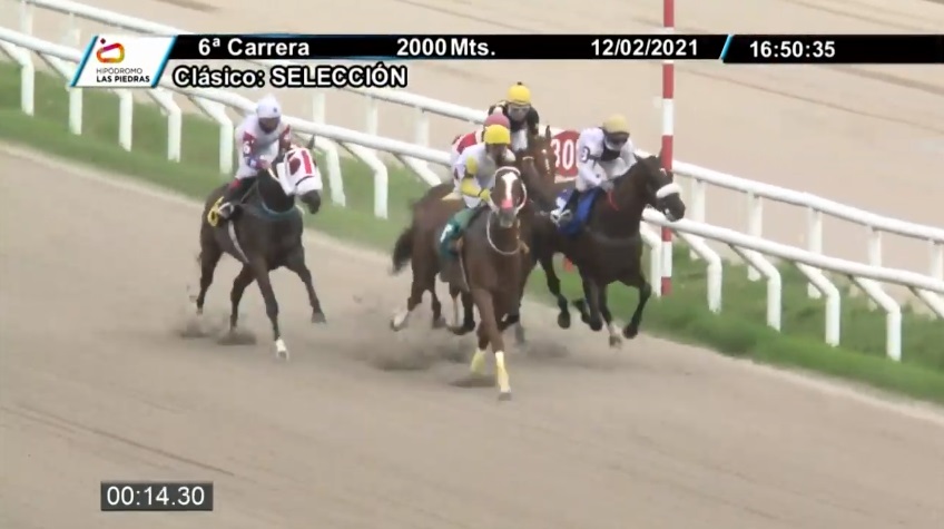 gran premio seleccion las piedras