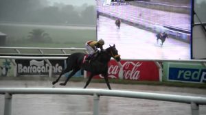 carreras 26 de marzo las piedras