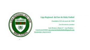liga regional del sur - baby futbol