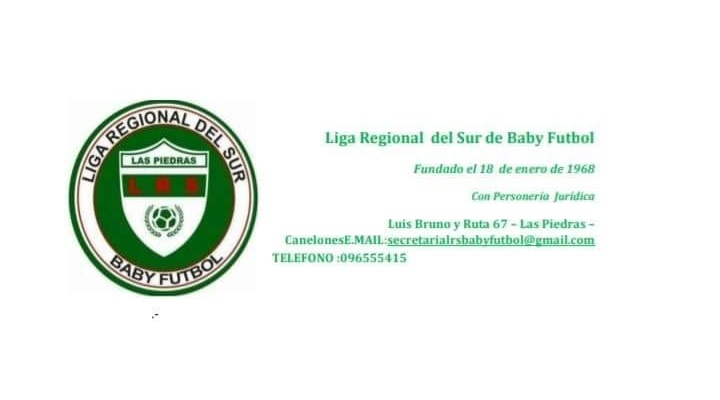 liga regional del sur - baby futbol