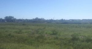 campo de juego csyd las piedras