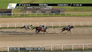 preferencial impaciente GG