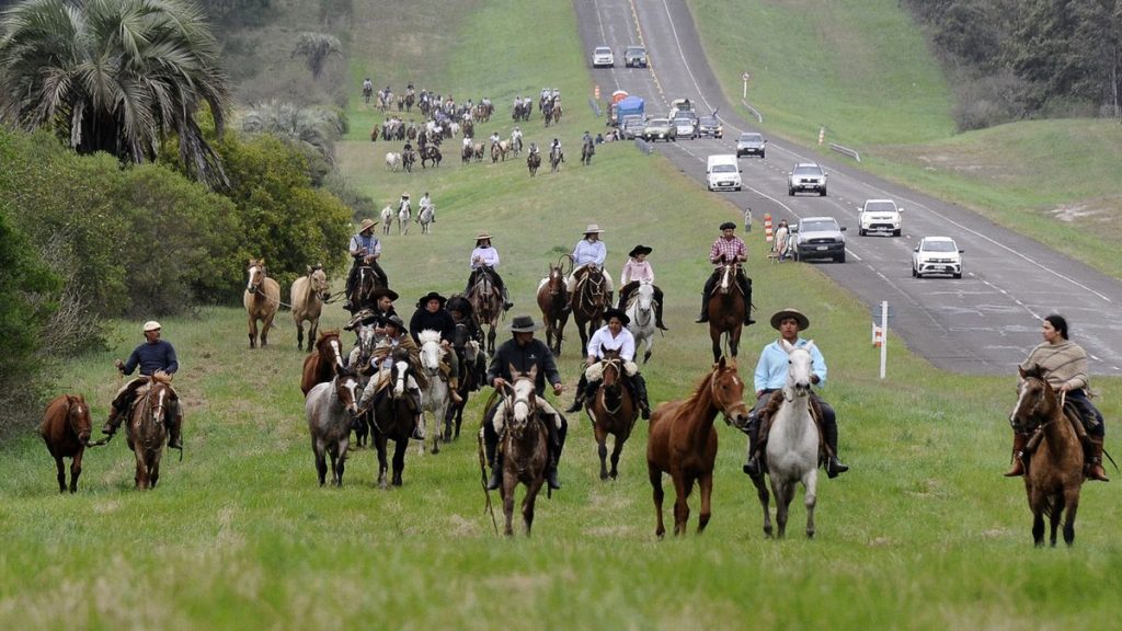 marcha-meseta-artigas-foto-presidencia