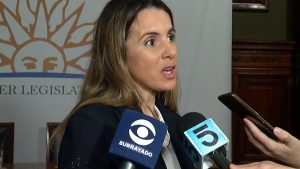 ache-venia-embajadora