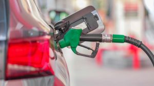 pexels-enginakyurt-20500734-2