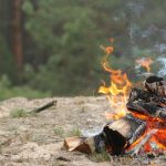 pexels-viktor-uva-3270224-4904193-1