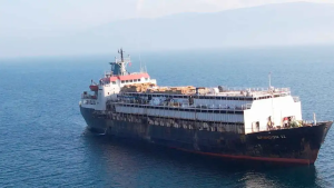 vacas-uruguayas-turquia-16112025-2138482