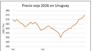 whatsapp-image-2025-10-31-at-175410-1