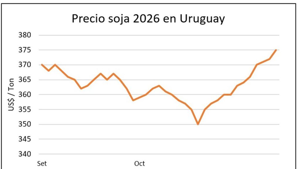 whatsapp-image-2025-10-31-at-175410