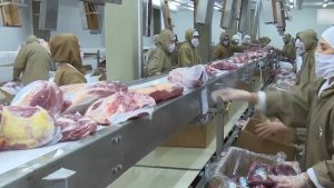 exportacion-carne-