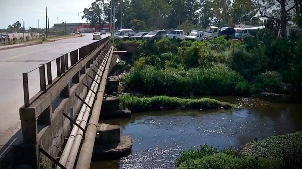 informe-bea-carrascolor