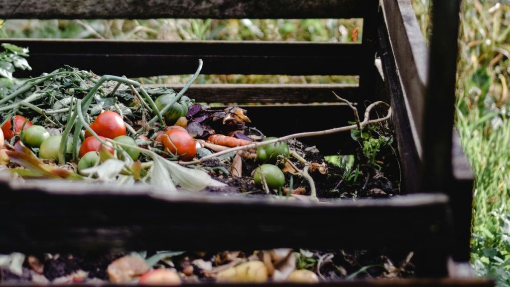 pexels-eva-bronzini-5503338