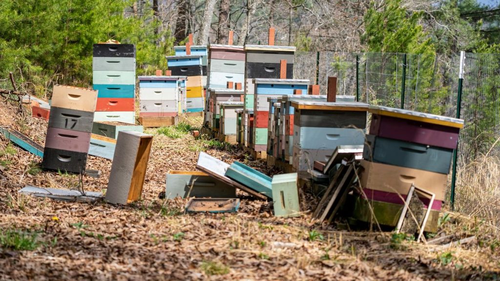 pexels-nc-farm-bureau-mark-7509403