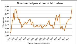 whatsapp-image-2025-11-28-at-162621