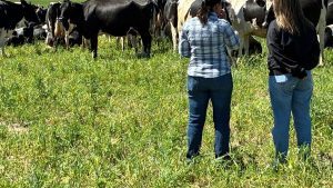 whatsapp-image-2025-12-08-at-111013