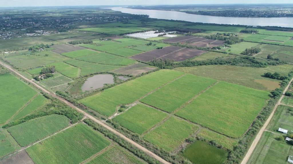 whatsapp-image-2025-12-12-at-155750-1