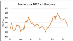 whatsapp-image-2025-12-13-at-005106-2