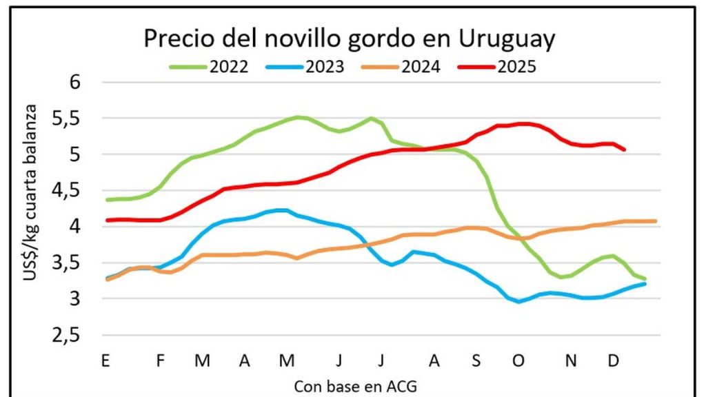 whatsapp-image-2025-12-19-at-115600-1