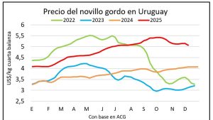 whatsapp-image-2025-12-19-at-115600