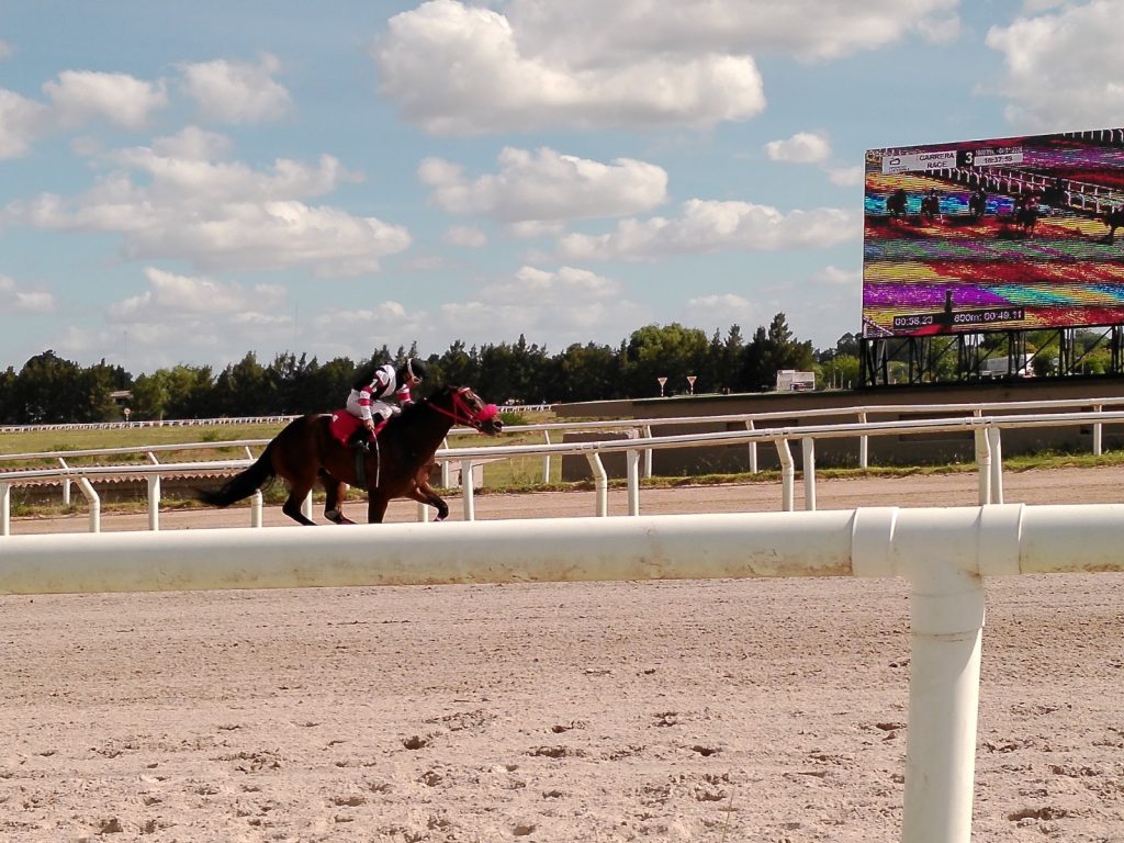 Primera Reunión del año en el circo canario - 1