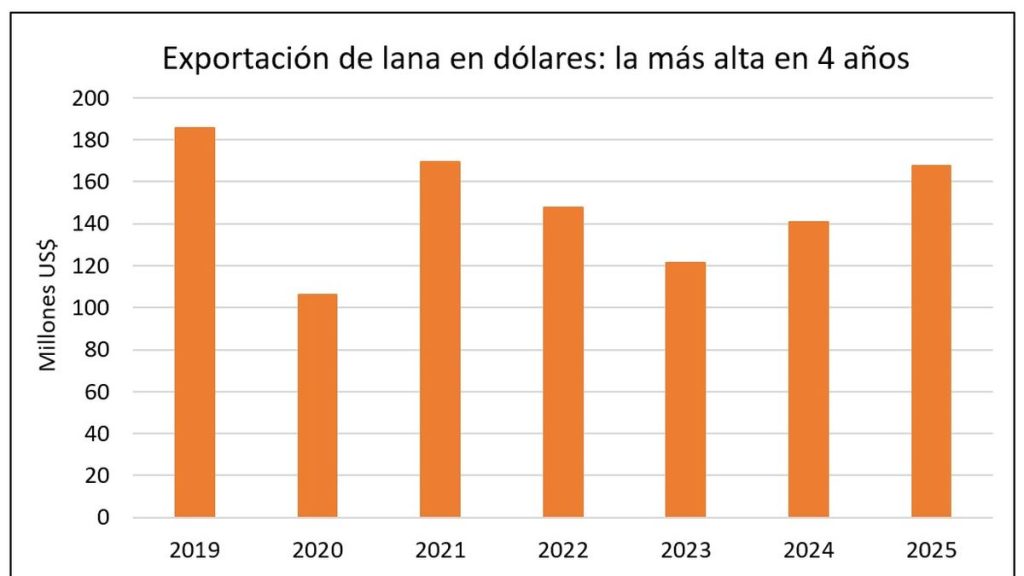 whatsapp-image-2026-02-13-at-1727061