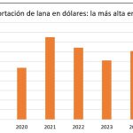 whatsapp-image-2026-02-13-at-1727061