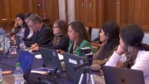 ministra-de-industria-en-comision-senado