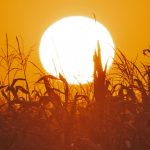 pexels-anton-kudryashov-118639843-9861277