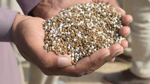 pexels-kkwritesofficial-31673795