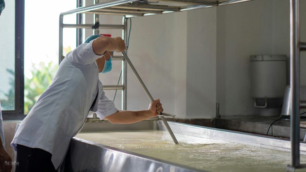 pexels-nishant-rana-107474724-14454553