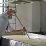 pexels-nishant-rana-107474724-14454553