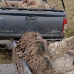 whatsapp-image-2025-07-19-at-064736