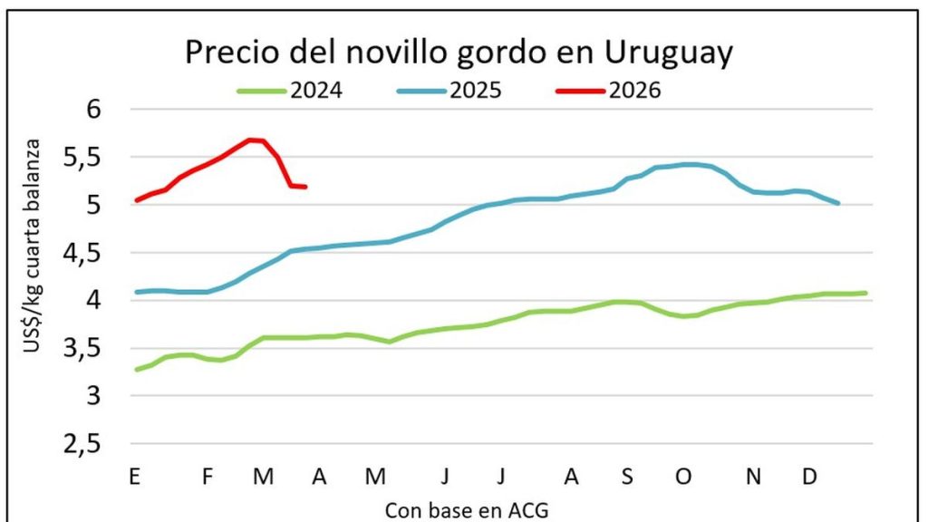 whatsapp-image-2026-04-02-at-143749