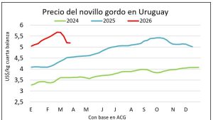 whatsapp-image-2026-04-02-at-143749