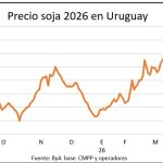 whatsapp-image-2026-04-10-at-200232