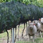 whatsapp-image-2026-04-17-at-141850