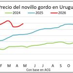 whatsapp-image-2026-04-24-at-115143