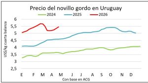 whatsapp-image-2026-04-24-at-115143