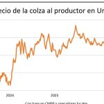 whatsapp-image-2026-04-24-at-203916