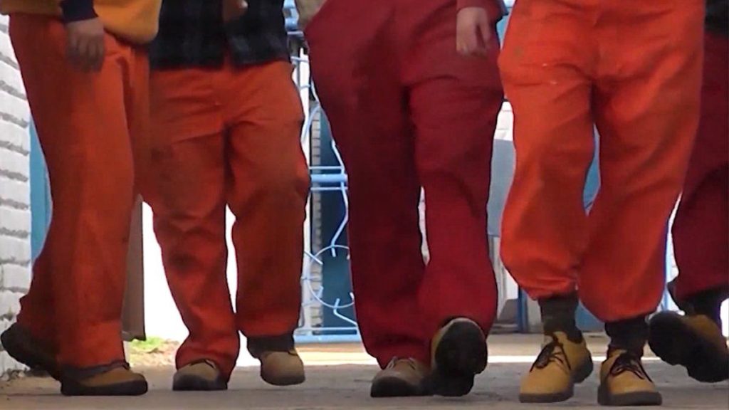 arim-programa