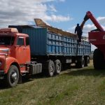 Arroceros apoyan a transportistas en su protesta por la implementación de la Guía Electrónica de Carga
