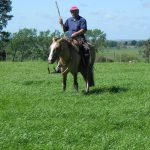 MGAP extendió los plazos de convocatorias a productores que pueden beneficiarse con tres programas